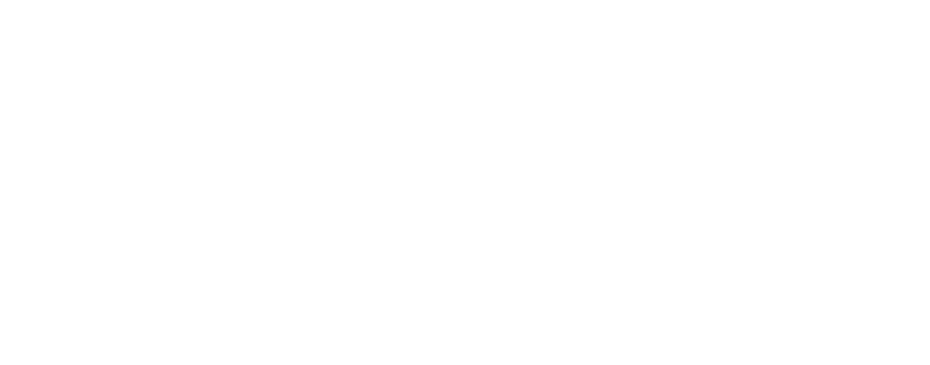 EGIA_Financing_Logo_White
