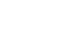 White Window World logo