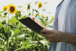 man with clipboard in sunflower field agriculture business